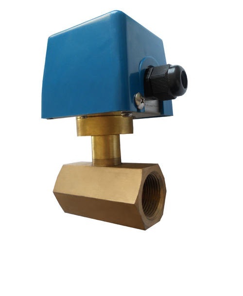 Baffle type flow switch